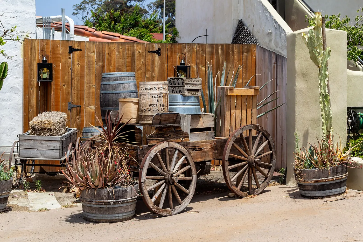 An old wooden wagon with large spoked wheels in front of a wooden fence, with barrels, crates and potted agave around it