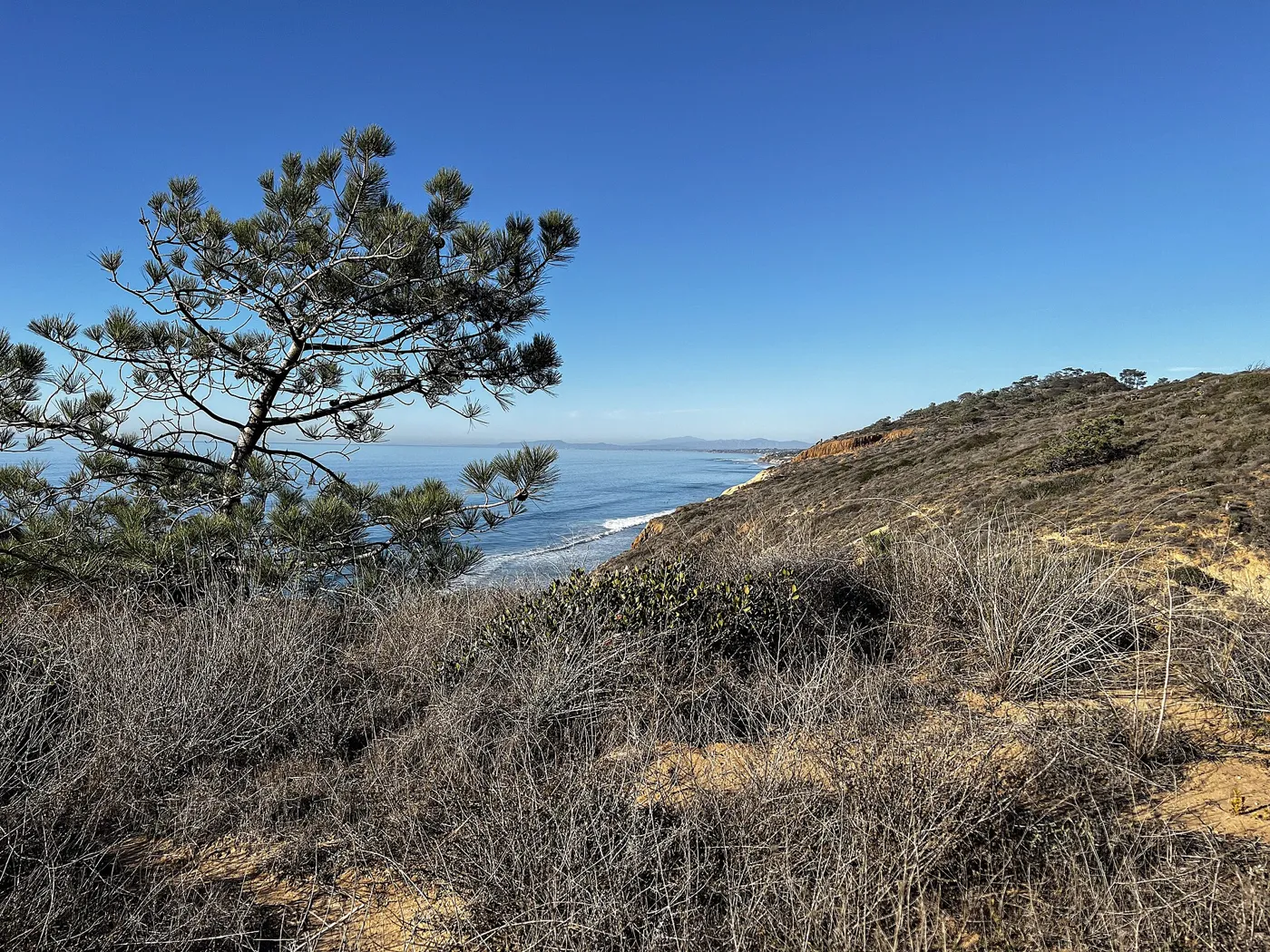 Three state parks within 40 miles of San Diego, and where to eat after
